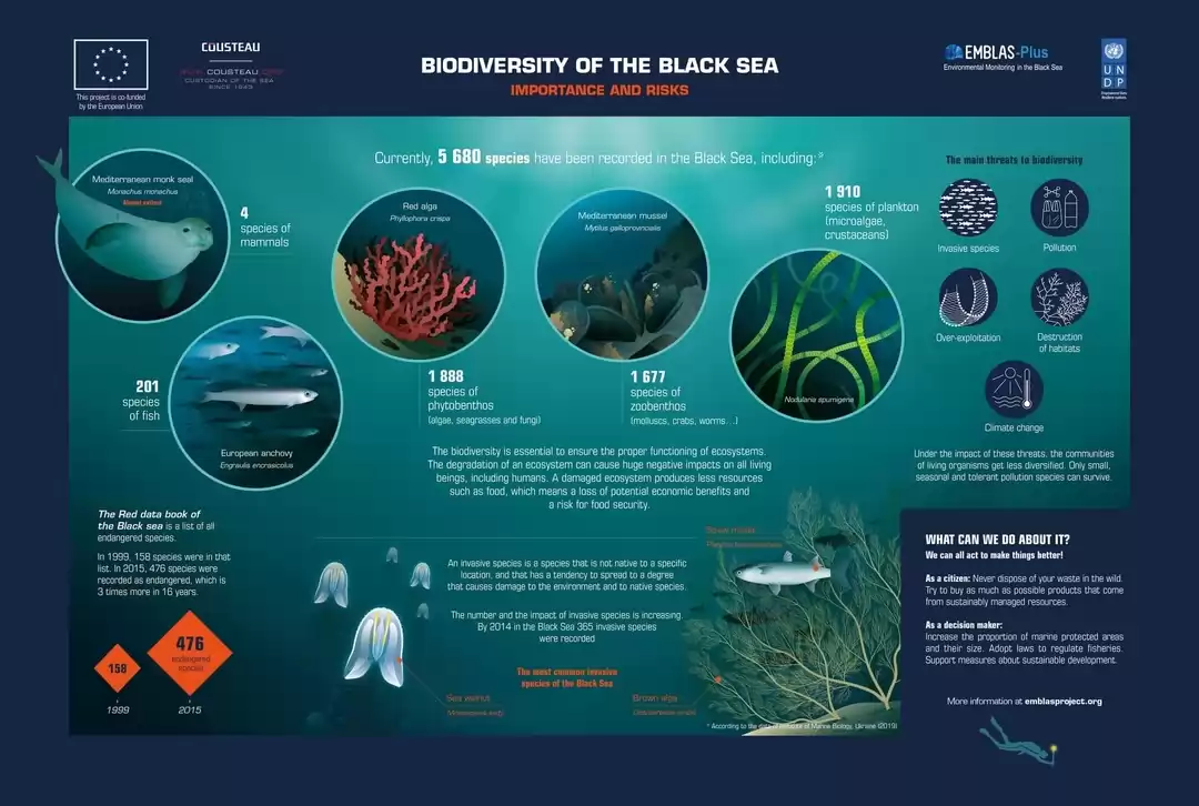 2.Biodiversity