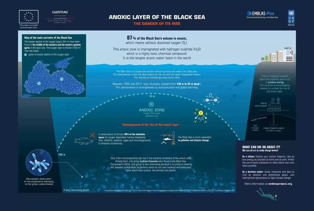 3.Anoxic-Layer