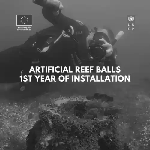 Underwater documentary “The Black Sea, Tylygul lyman. Artificial reef balls, 1st year of installation”