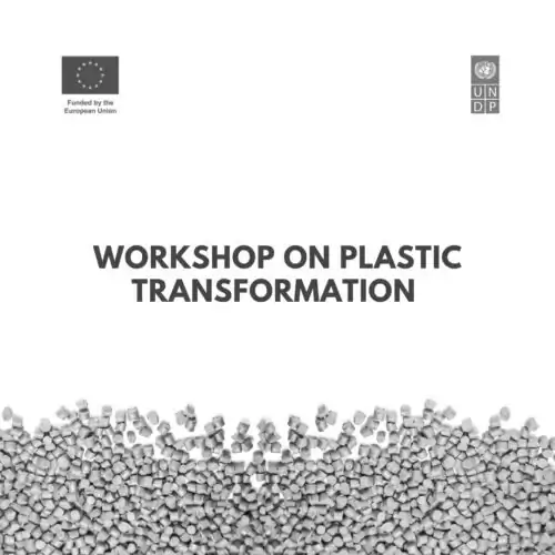 Additional workshop on plastic transformation is held in Letychiv
