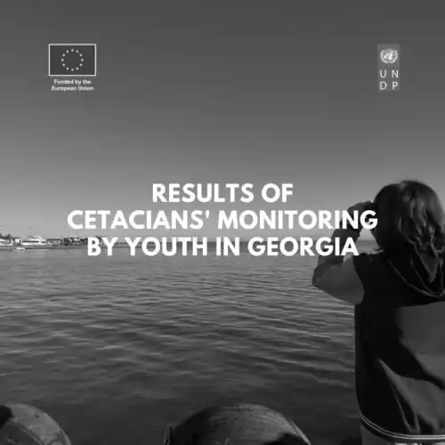 Black Sea Day in Georgia: Finalizing the results of the half-year cetacians’ monitoring in the Black Sea