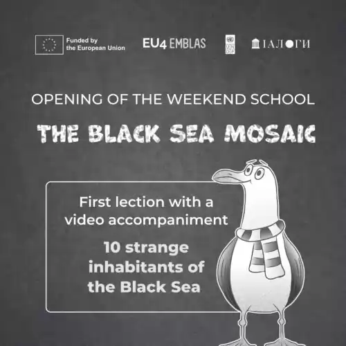 Weekend school “The Black Sea Mosaic” has successfully started this Sunday