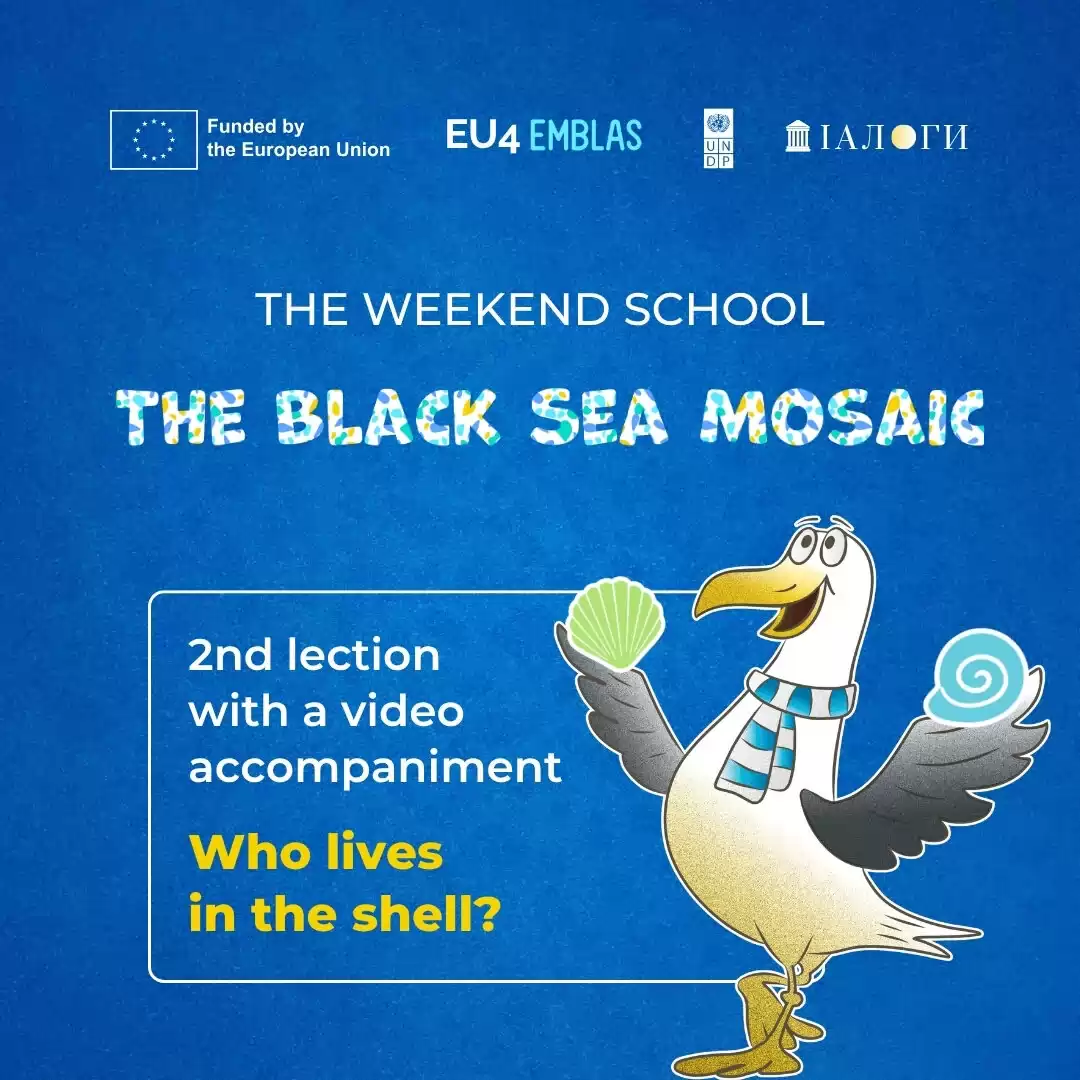 The weekend school “The Black Sea mosaic” has continued with the lecture on the Black Sea molluscs