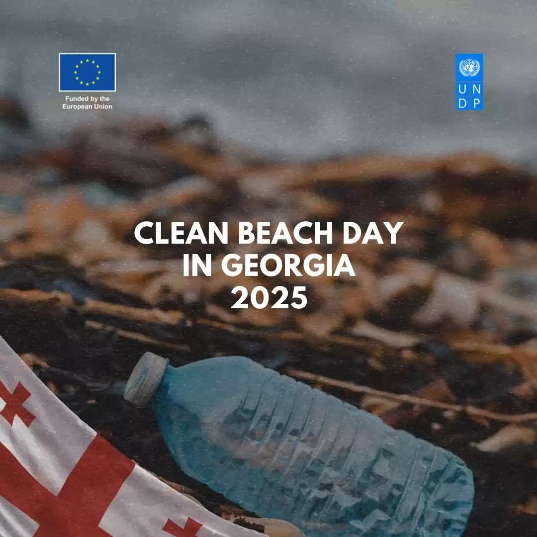 Clean Beach Day in Georgia: studying marine litter after the storm