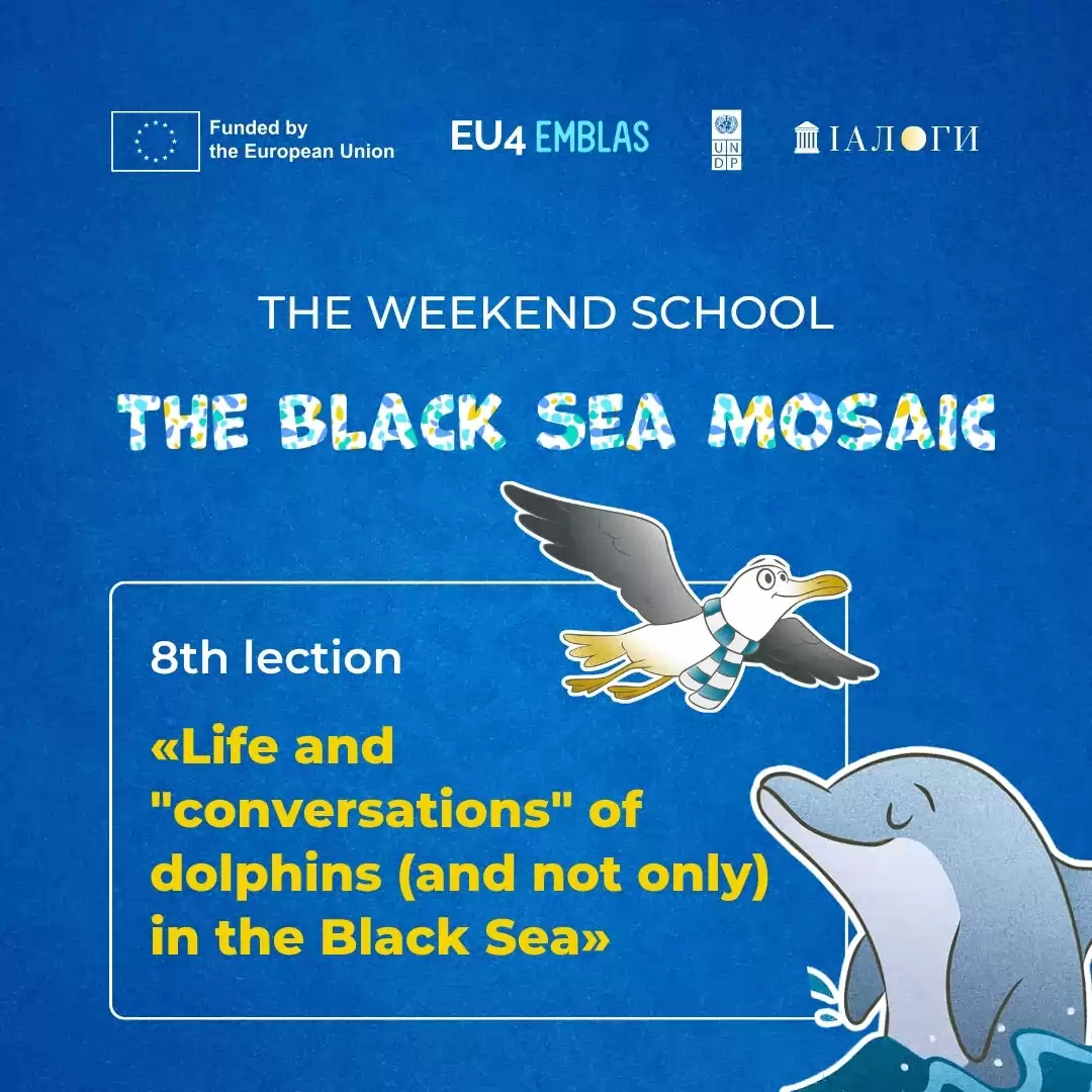 The last lecture of the Black Sea school – about the cetaceans