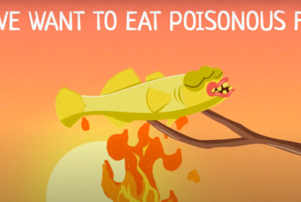 “How marine litter harms the Black Sea” – a new striking cartoon